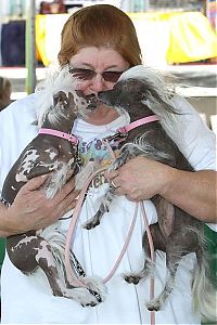 Fauna & Flora: World's Ugliest Dog Contest 2010, Petaluma, California, United States