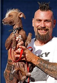 Fauna & Flora: World's Ugliest Dog Contest 2010, Petaluma, California, United States