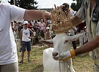 Fauna & Flora: Goat beauty contest, Lithuania