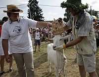 Fauna & Flora: Goat beauty contest, Lithuania