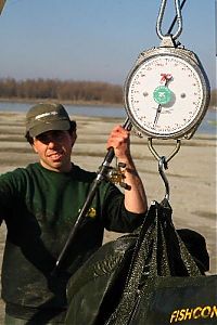 TopRq.com search results: giant catfish