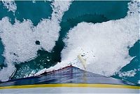 TopRq.com search results: Polar bear, Svalbard Archipelago, Norway