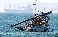 Fauna & Flora: southern right whale breached on a ship