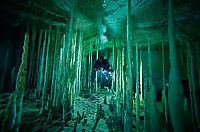 TopRq.com search results: Blue holes and spectacular coral reefs, Andros, Bahamas