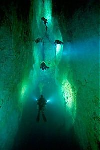 Fauna & Flora: Blue holes and spectacular coral reefs, Andros, Bahamas