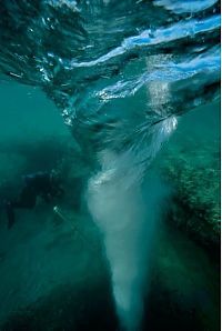 Fauna & Flora: Blue holes and spectacular coral reefs, Andros, Bahamas