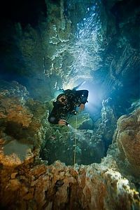 TopRq.com search results: Blue holes and spectacular coral reefs, Andros, Bahamas