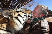 Fauna & Flora: man and his tigers