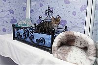 Fauna & Flora: Luxury feline hotel, United Kingdom