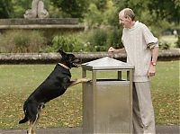 Fauna & Flora: litter picking dog