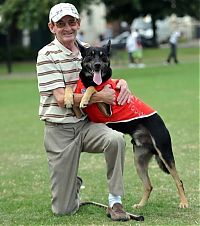 Fauna & Flora: litter picking dog