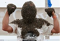 TopRq.com search results: Bee beard competition, Ontario, Canada