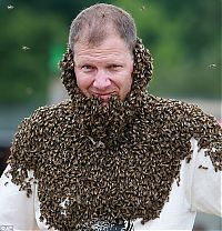 TopRq.com search results: Bee beard competition, Ontario, Canada