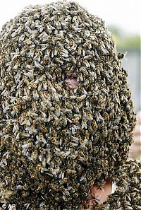 Fauna & Flora: Bee beard competition, Ontario, Canada