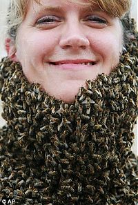 Fauna & Flora: Bee beard competition, Ontario, Canada