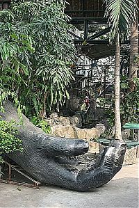 Fauna & Flora: Pata Zoo in Bangkok, Thailand
