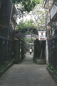 Fauna & Flora: Pata Zoo in Bangkok, Thailand