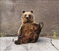 TopRq.com search results: Santra, yoga bear, Ähtäri ZOO, Finland