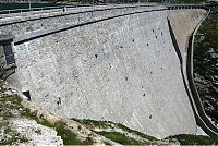 Fauna & Flora: ibex on the dam