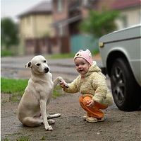 Fauna & Flora: dog and the child friends