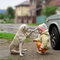 Fauna & Flora: dog and the child friends