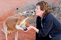 Fauna & Flora: Beemer, pet kangaroo