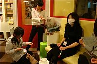 TopRq.com search results: Сat Сafe, Tokyo, Japan