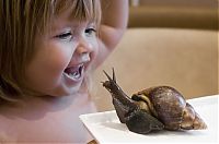 TopRq.com search results: snails and a baby