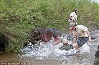 TopRq.com search results: Hungry hippo almost eats a veterinarian, South Africa