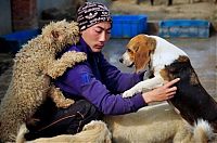Fauna & Flora: Ha Wenjin, animal shelter for 1,500 dogs and 200 cats