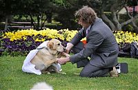 Fauna & Flora: Man married his dog, South East Queensland, Australia