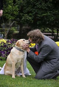 Fauna & Flora: Man married his dog, South East Queensland, Australia