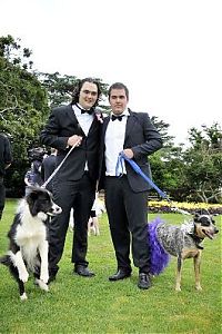 TopRq.com search results: Man married his dog, South East Queensland, Australia