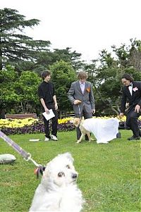 Fauna & Flora: Man married his dog, South East Queensland, Australia