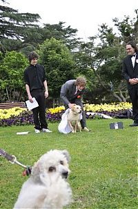 Fauna & Flora: Man married his dog, South East Queensland, Australia