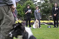 Fauna & Flora: Man married his dog, South East Queensland, Australia