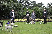 Fauna & Flora: Man married his dog, South East Queensland, Australia