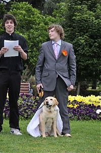 TopRq.com search results: Man married his dog, South East Queensland, Australia