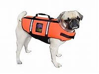 TopRq.com search results: pug in life jacket