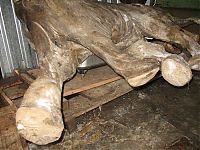 TopRq.com search results: Frozen baby mammoth, Russia