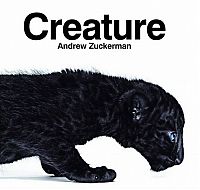 TopRq.com search results: Animal portrait by Andrew Zuckerman
