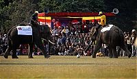 Fauna & Flora: Elephant beauty pageant, Chitwan district, Nepal