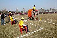 Fauna & Flora: Elephant beauty pageant, Chitwan district, Nepal