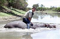 Fauna & Flora: Marius Els and his pet hippo Humphrey, South Africa