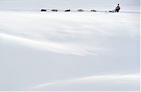 Fauna & Flora: SWITZERLAND FRANCE DOG SLEDGE 'LA GRANDE ODYSSEE'