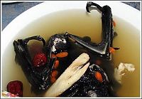 TopRq.com search results: delicious bat soup
