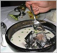 TopRq.com search results: delicious bat soup