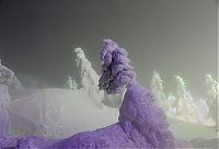 TopRq.com search results: snow monsters, juhyou, frost-covered trees