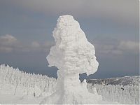 TopRq.com search results: snow monsters, juhyou, frost-covered trees