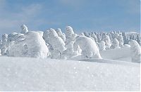 TopRq.com search results: snow monsters, juhyou, frost-covered trees